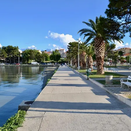 Olive Tree 斯普利特