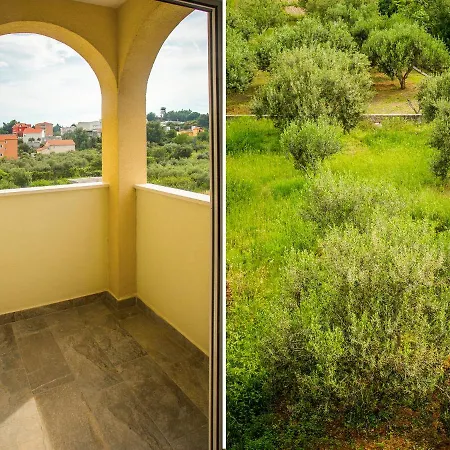 Olive Tree Apartament