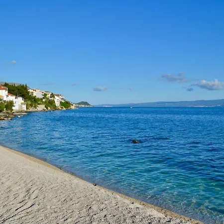 Olive Tree * 斯普利特