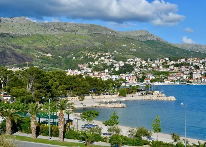 Olive Tree Apartment