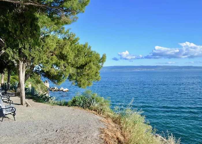 Apartment Olive Tree Split